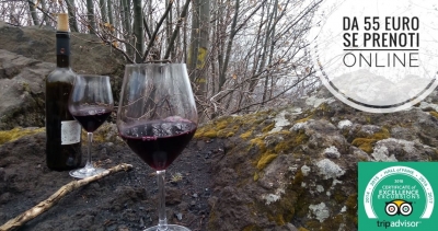Escursione Etna e vino con degustazione di prodotti tipici