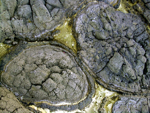 Fase delle Tholeiiti Basali
