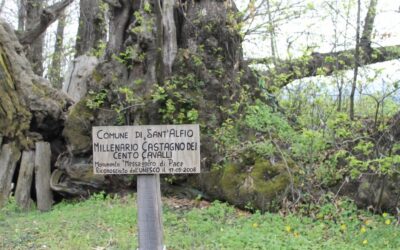 Il castagno dei cento cavalli: escursione per ammirare l’albero più antico e grande d’Italia